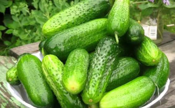 �S���Ǜ���ʳ�������(j��ng)�ڿ��Գ��S�φ���