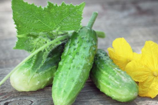 �S���Ƿָ߆᣿���򲡻��߿��Գ��S�φ᣿