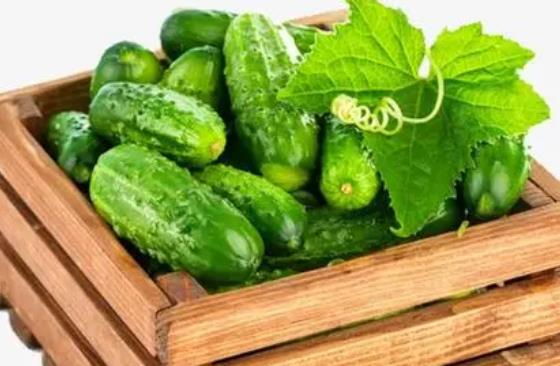 �S�ό��ڰl��᣿�����S���^ҹ��߀�ܳԆ᣿