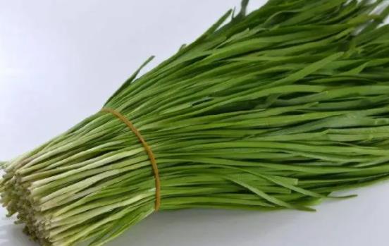 �a�D���ԳԾ²ˆ᣿�a�D�Ծ²˕����̆᣿