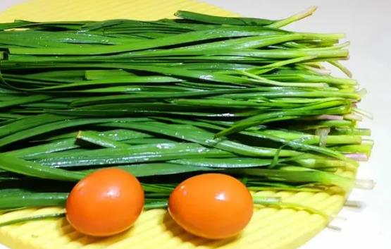 ���ؿ��ԳԾ²ˆ᣿�Ծ²˿��Ԏ����ű�᣿