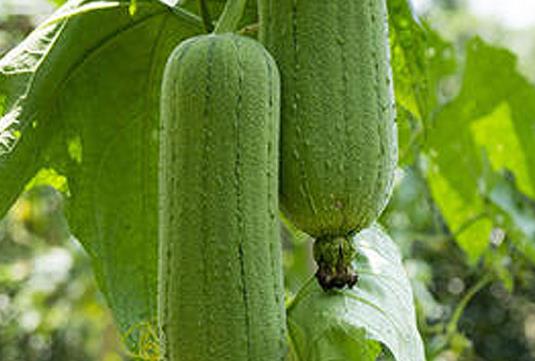 �a(ch��n)�D���ԳԽz�φ᣿�a(ch��n)�D�Խz�ϕ����̆᣿