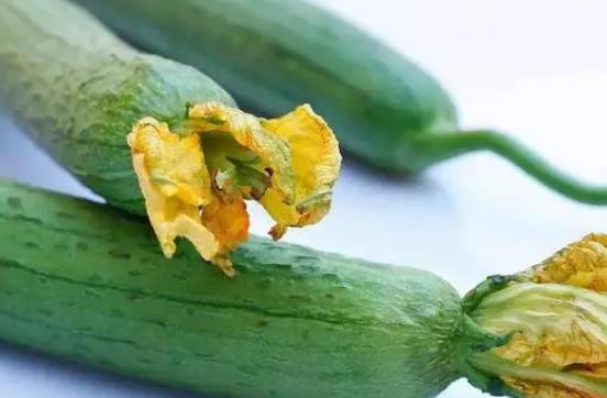 ���ڿ��ԳԽz�φ᣿�z���Ǻ���ʳ��᣿