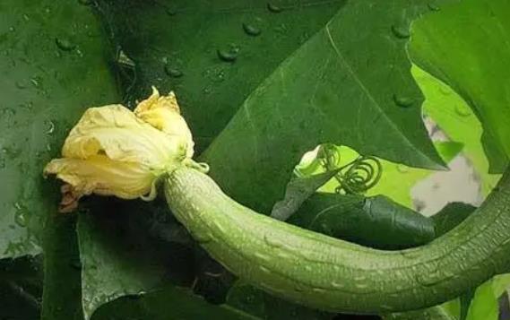 �z���ǰl(f��)��᣿�Խz�ϕ������ϻ�