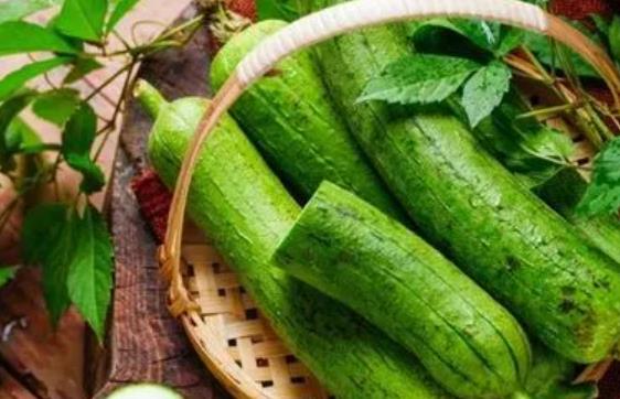 �z���ǰl(f��)��᣿�Խz�ϕ������ϻ�