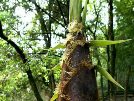 ���S��ˮ����Է��������᣿���S��ˮ�r�g�L�˕������I�B(y��ng)�pʧ��