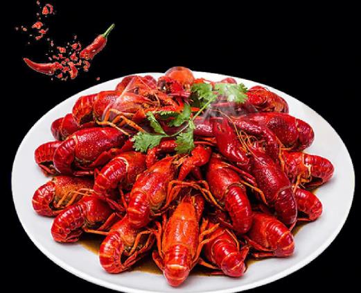 С���rʲô�r����^�ʣ�С���r���ܺ��κΖ|��һ���