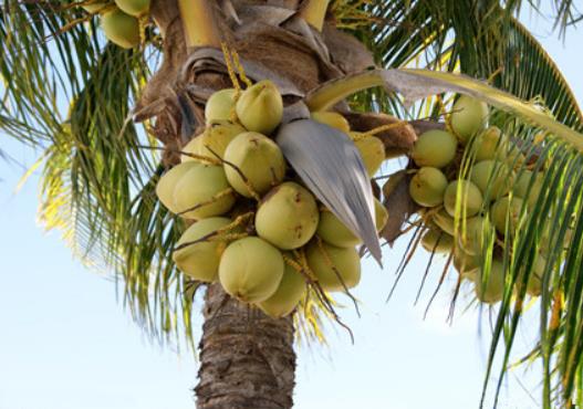 �A�_�ڵ�Ҭ�ӿ��ԷŶ�ã�׃�|Ҭ��ˮ����һ�ڕ��ж���