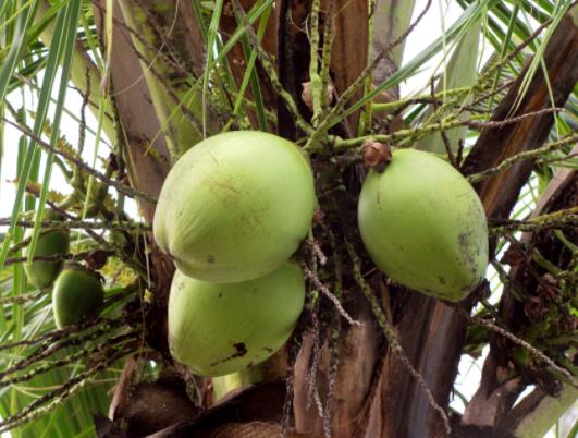 �A(y��)�_�ڵ�Ҭ�������^����ô���£��A(y��)�_�ڵ�Ҭ��ˮ�ܺȆ��ж���