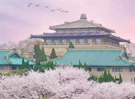 ��һȥ��h��W����·܇����h���·ݽ��������