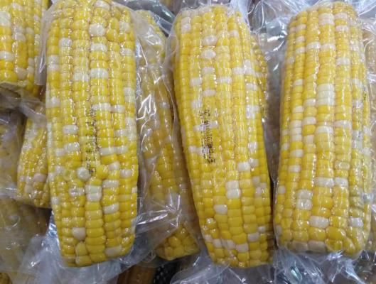 真空玉米營(yíng)養(yǎng)多久會(huì)流失?真空玉米有害嗎 真空玉米營(yíng)養(yǎng)多久會(huì)流失?真空玉米有害嗎