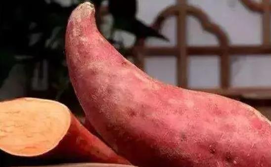 �t���������߆������򲡻��߿��ԳԼt�����