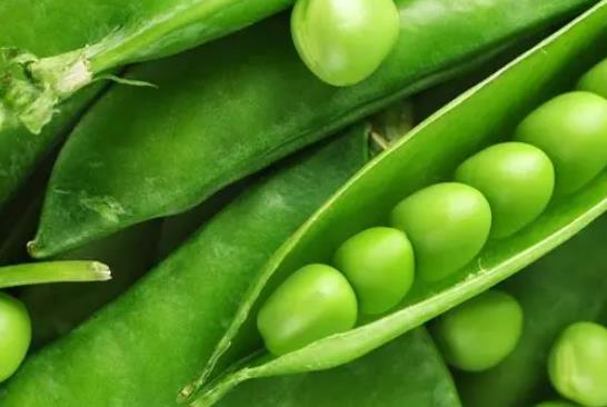 �a(ch��n)�D���Գ��㶹�᣿�a(ch��n)�D���㶹��(hu��)���̆᣿