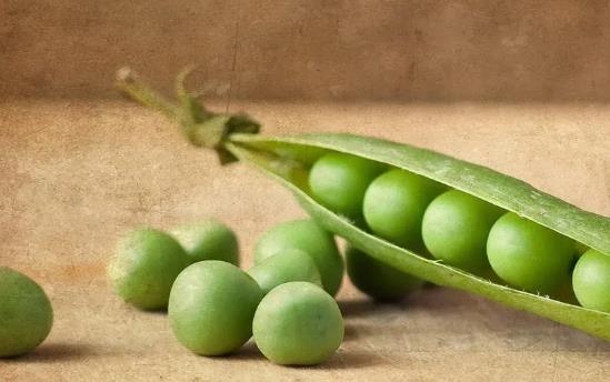 �㶹�Ǜ���ʳ�������(j��ng)�ڿ��Գ��㶹�᣿