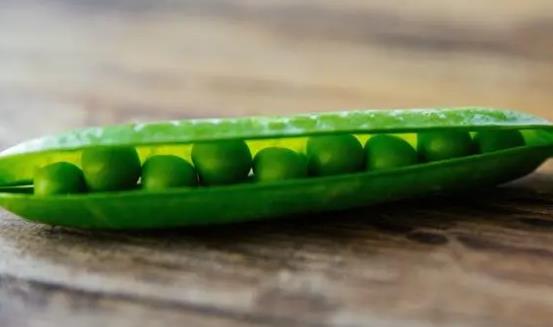 豌豆含糖嗎?糖尿病患者可以吃豌豆嗎? 豌豆含糖嗎?糖尿病患者可以吃豌豆嗎?