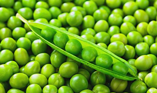 豌豆含糖嗎?糖尿病患者可以吃豌豆嗎? 豌豆含糖嗎?糖尿病患者可以吃豌豆嗎?