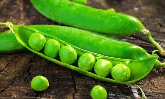豌豆含糖嗎?糖尿病患者可以吃豌豆嗎? 豌豆含糖嗎?糖尿病患者可以吃豌豆嗎?