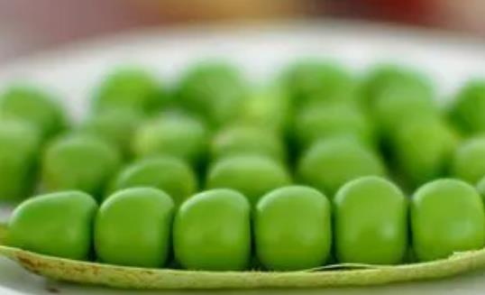 ���㶹��Û��᣿�㶹�Զ��˕���ô�ӣ�