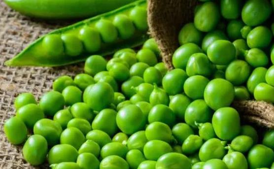 �㶹�Զ��˕����؆᣿�㶹�ܾ�����؆᣿