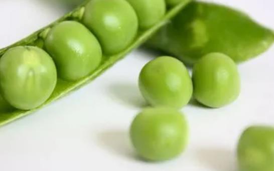 �㶹�к����ʆ᣿ʹ�L���߿��Գ��㶹�᣿