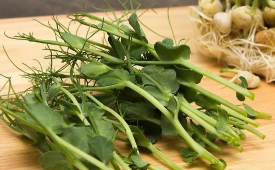 �������Գ��㶹ѿ�᣿���Č������Գ��㶹ѿ��