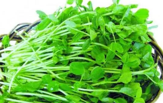 �㶹ѿ�Ǜ���ʳ��᣿���㶹ѿ��(hu��)�ϻ��᣿