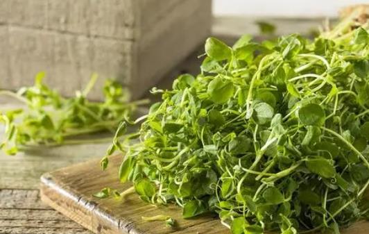 �㶹ѿ���˕�Û���?�㶹ѿ�ж��Ԇ᣿