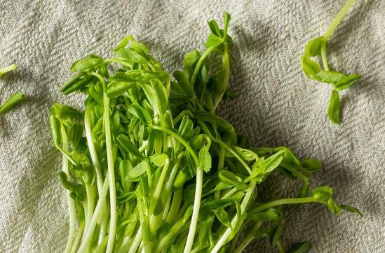 �㶹ѿ���˕�Û���?�㶹ѿ�ж��Ԇ᣿