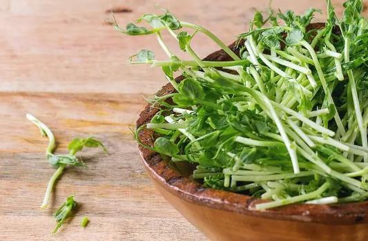 �㶹ѿ�ǰl(f��)������㶹ѿ��ʲô��(hu��)�l(f��)�ࣿ