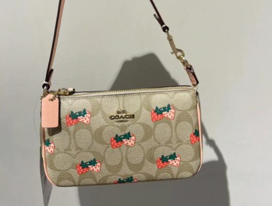 ��coachŮ���ܵ��n�Ά᣿��ʲô�ܶ��˶��ӗ�coach