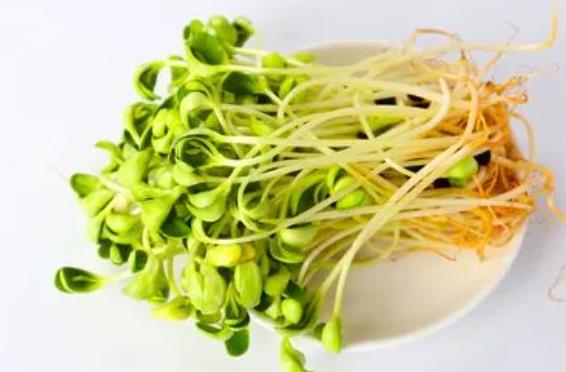 �ЋD���ԳԶ�ѿ�᣿�ЋD�Զ�ѿ��Ҫע��ʲô?