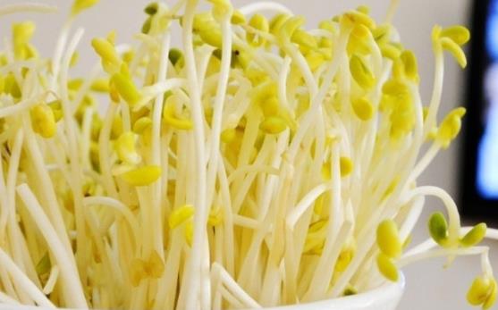 ��ѿ�Ǻ���ʳ���?���ڿ��ԳԶ�ѿ����