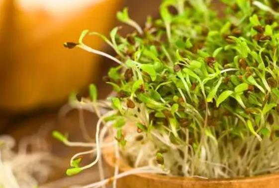 ��ѿ�ǰl��᣿��ѿ���Գ����Ć᣿