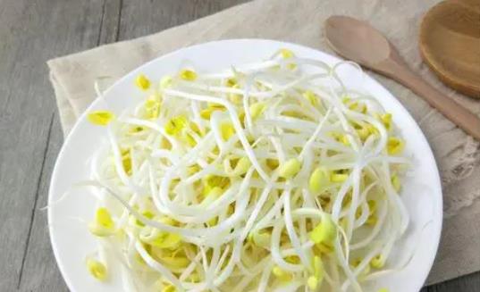 �������ԳԶ�ѿ�᣿���Č������ԳԶ�ѿ��