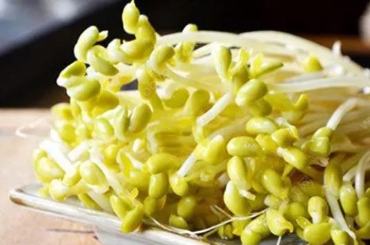 �������ԳԶ�ѿ�᣿���Č������ԳԶ�ѿ��