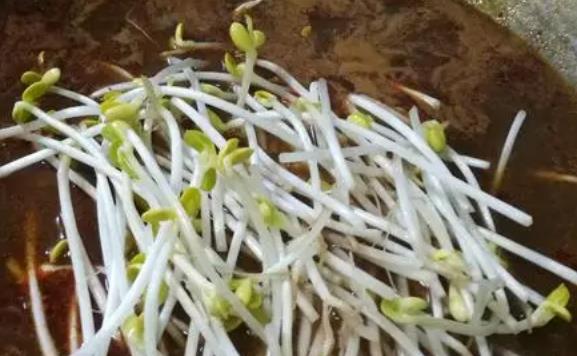 ��ѿ���c(di��n)��߀�ܳԆ᣿��ѿ��ʲô��(hu��)�ࣿ