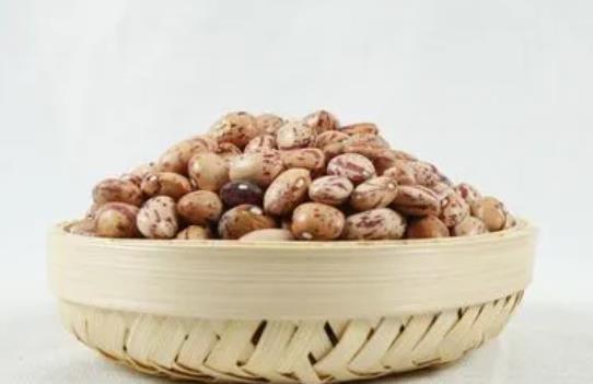 �|�����ں���ʳ��᣿���ڿ��Գ��|���᣿