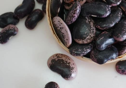 �|�����ں���ʳ��᣿���ڿ��Գ��|���᣿