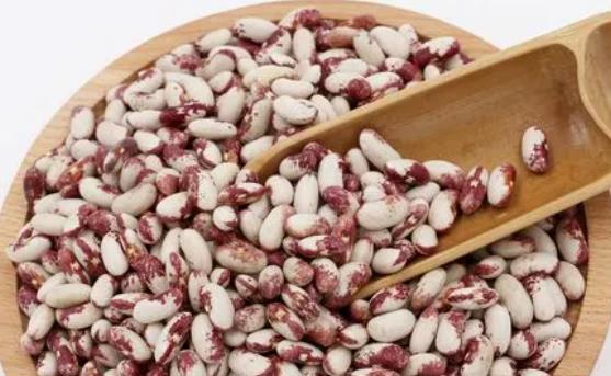 �|�����ں���ʳ��᣿���ڿ��Գ��|���᣿