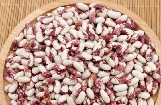 �������Գ��|���᣿���Č������Գ��|����