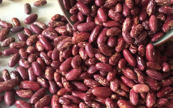 �������Գ��|���᣿���Č������Գ��|����