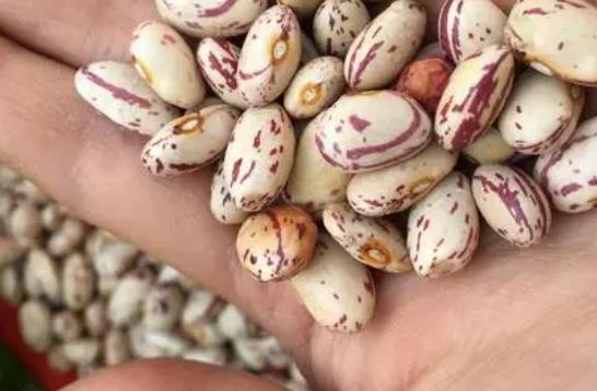 �|�����ж��؆᣿��ô������|���ж���