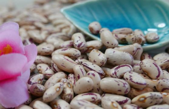 �|�����ж��؆᣿��ô������|���ж���