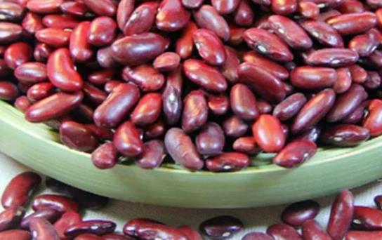 �|�����ǆ᣿���򲡻��߿��Գ��|���᣿