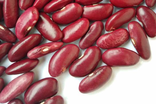 �|�����ǆ᣿���򲡻��߿��Գ��|���᣿