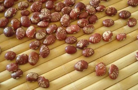 �|�����ǆ᣿���򲡻��߿��Գ��|���᣿