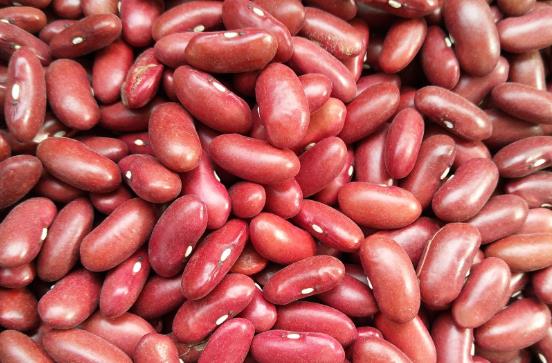 吃蕓豆會上火嗎?蕓豆是發物嗎? 吃蕓豆會上火嗎?蕓豆是發物嗎?