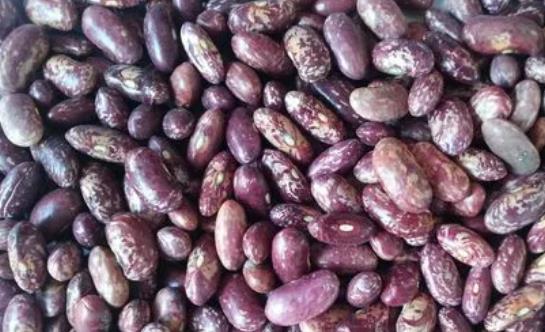 �|���ܲ��ܺ��u��һ��ԣ��|�����Ծ�����؆᣿