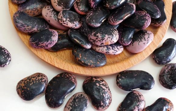 �|�����Գ����Ć᣿�|����������Ԇ᣿