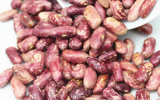 �|�����Գ����Ć᣿�|����������Ԇ᣿